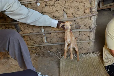 DSC_5353 (Large).JPG